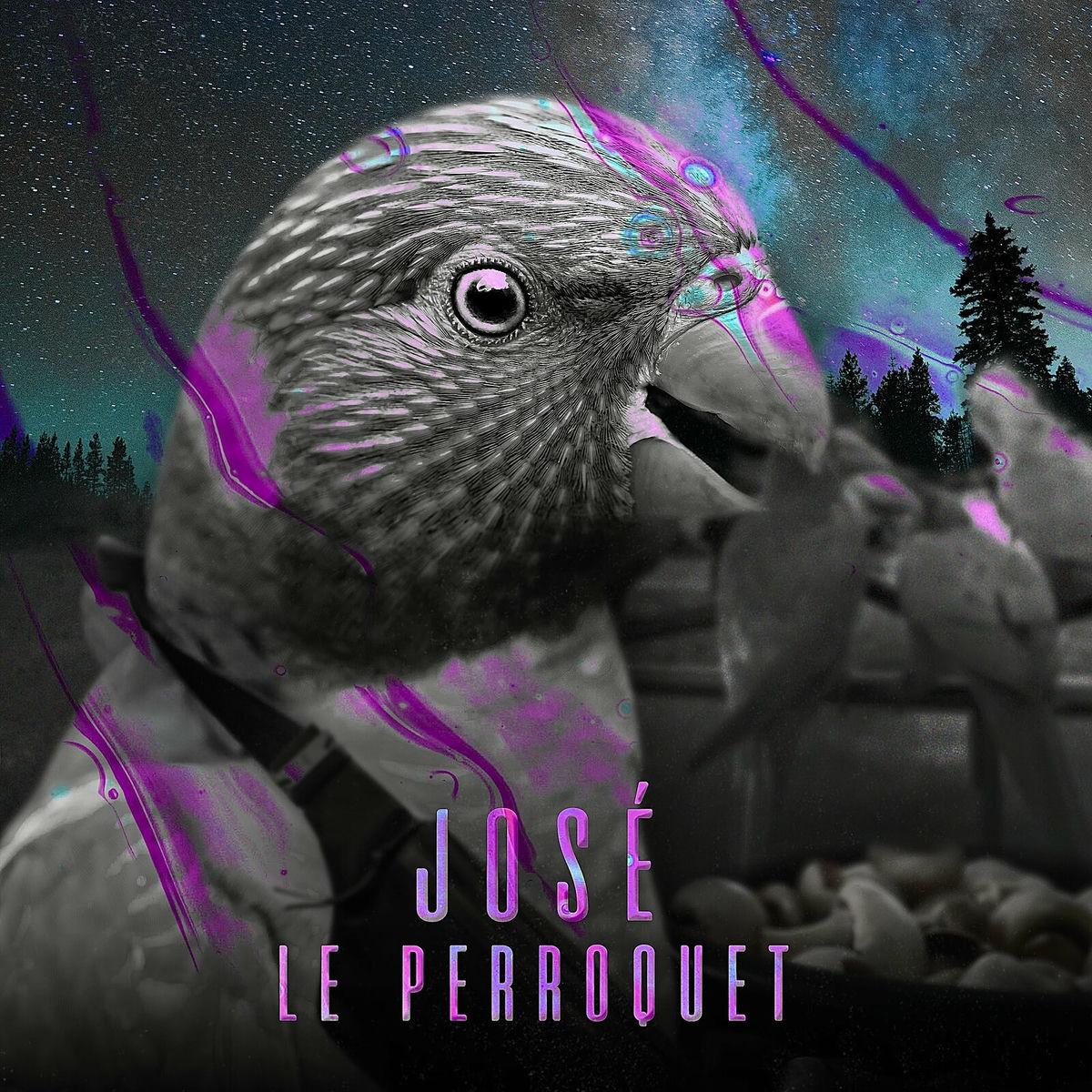 Album cover of JOSÉ LE PERROQUET