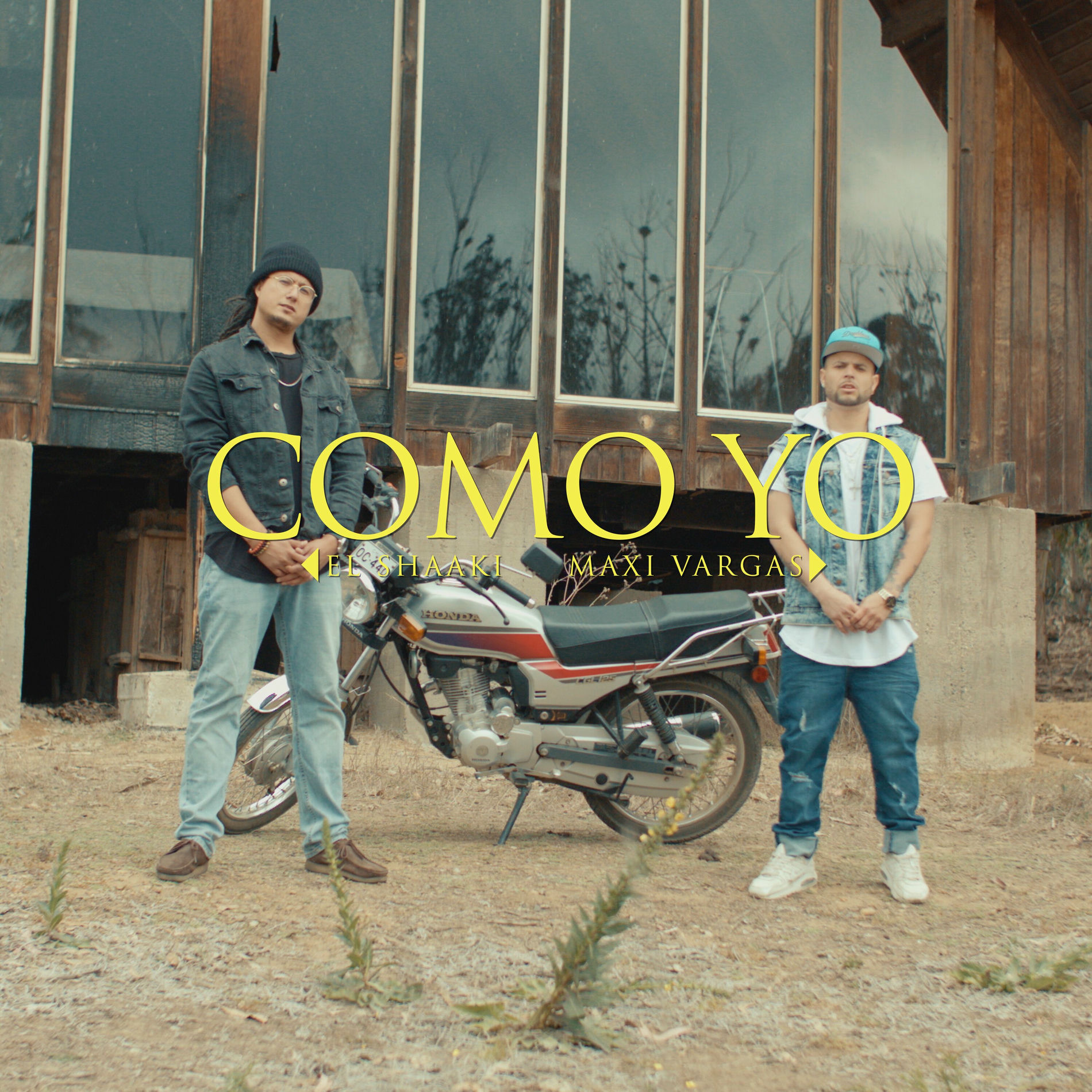 Album cover of Como Yo