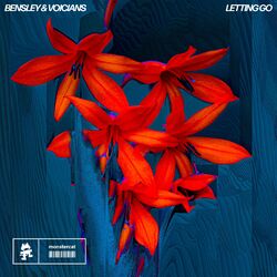 Cover of Letting Go