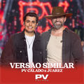 Vers&atilde;o Similar