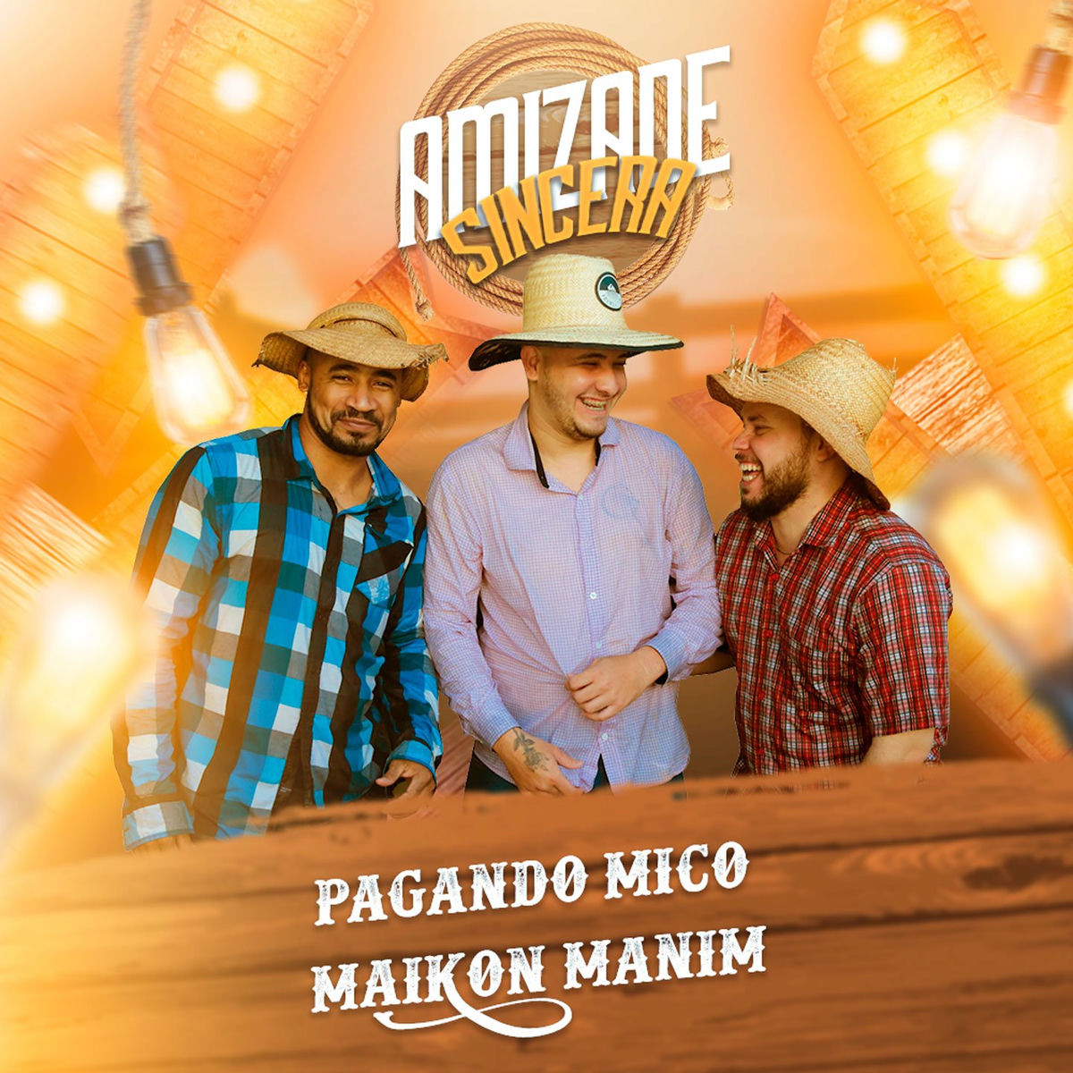 Album cover of Amizade Sincera