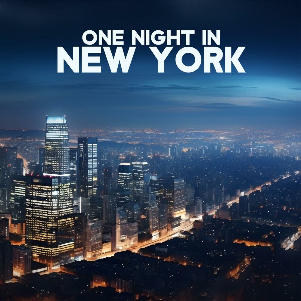 Picture of One Night in New York