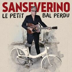 Cover of Le petit bal perdu