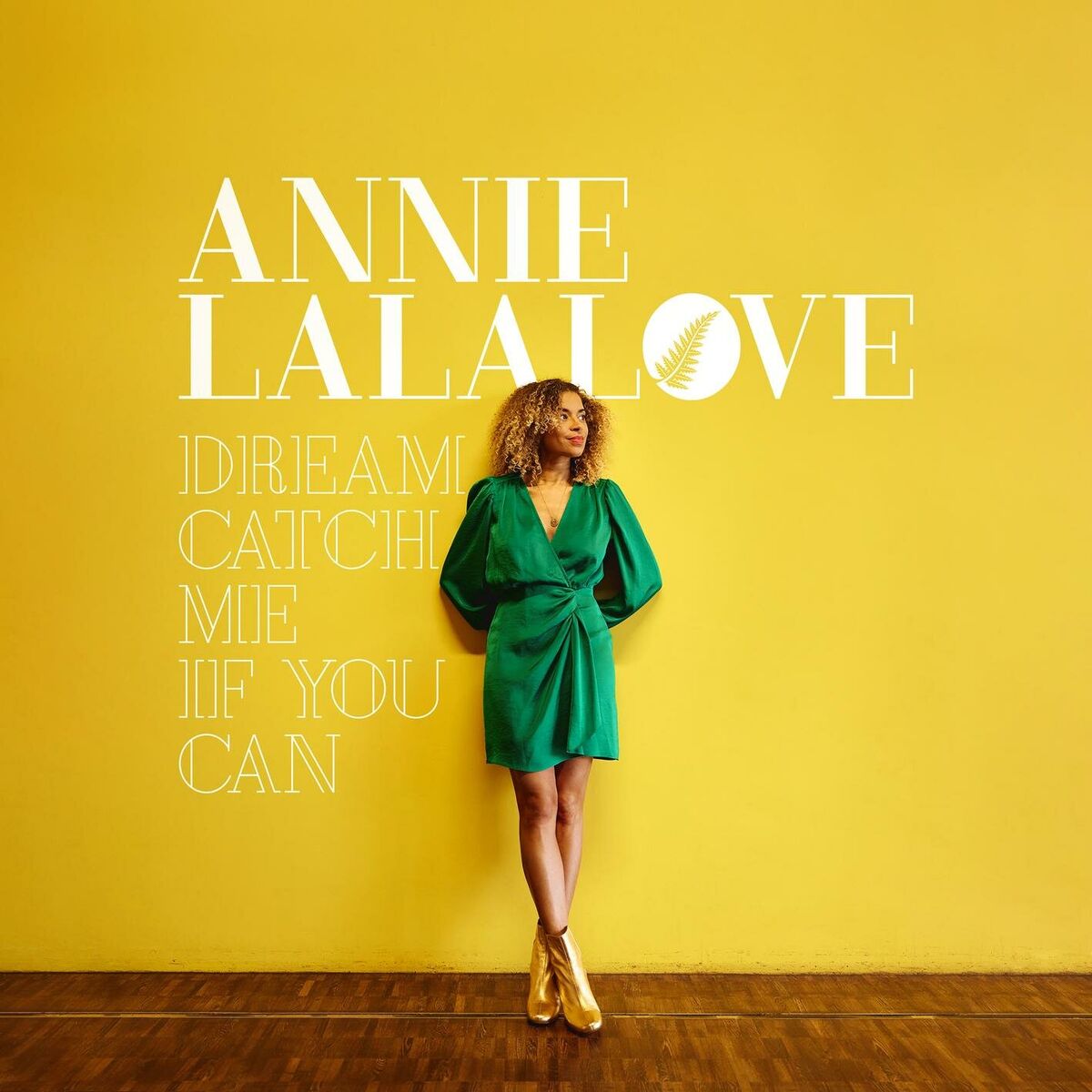Album cover of Dream Catch Me if You Can