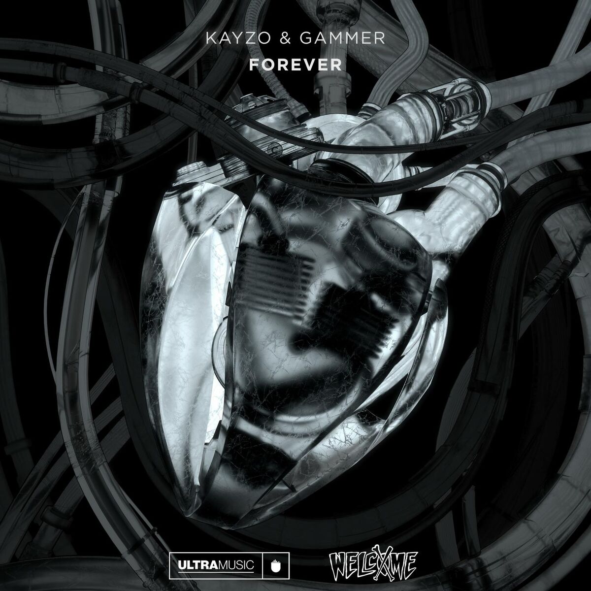 Album cover of FOREVER