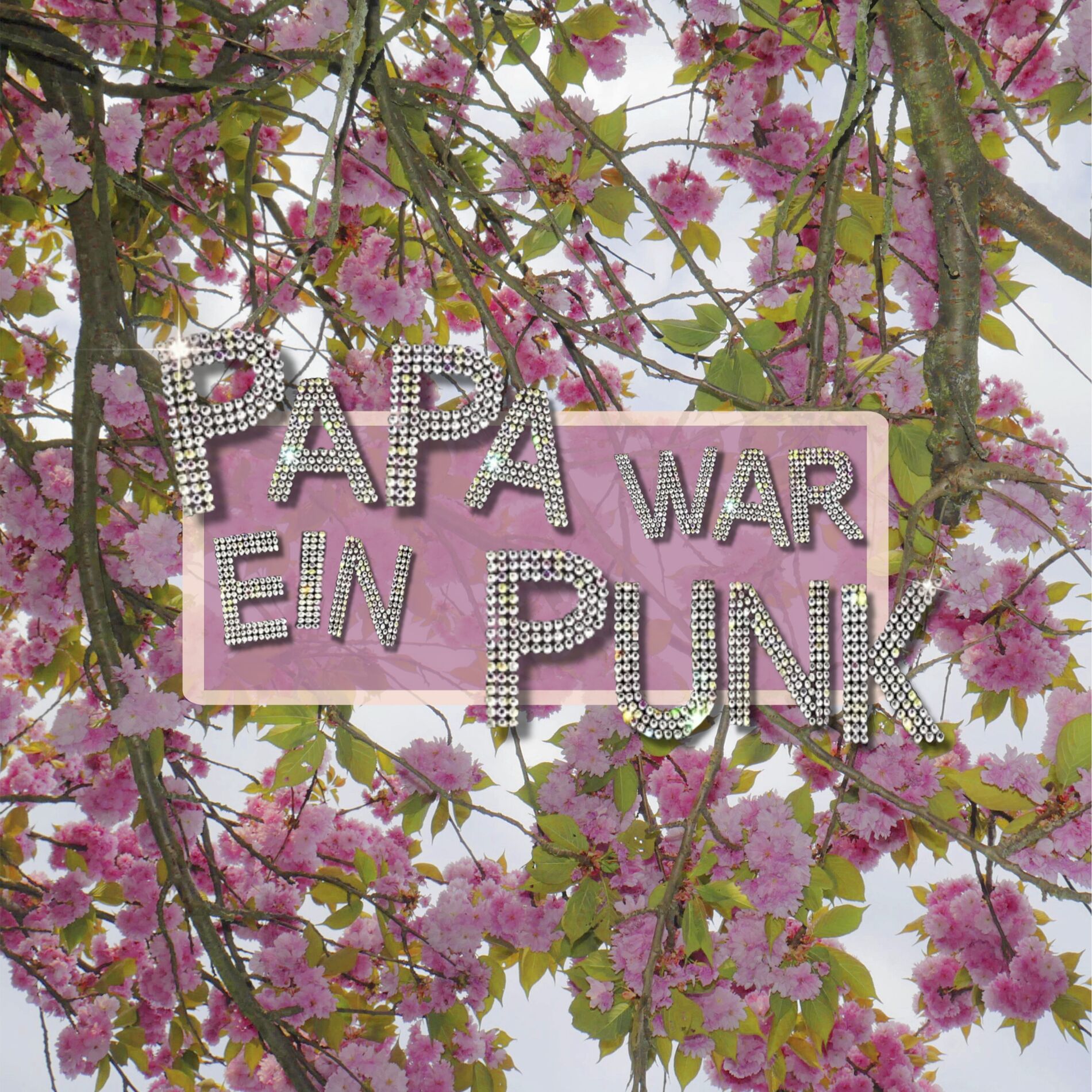 Album cover of Papa war ein Punk