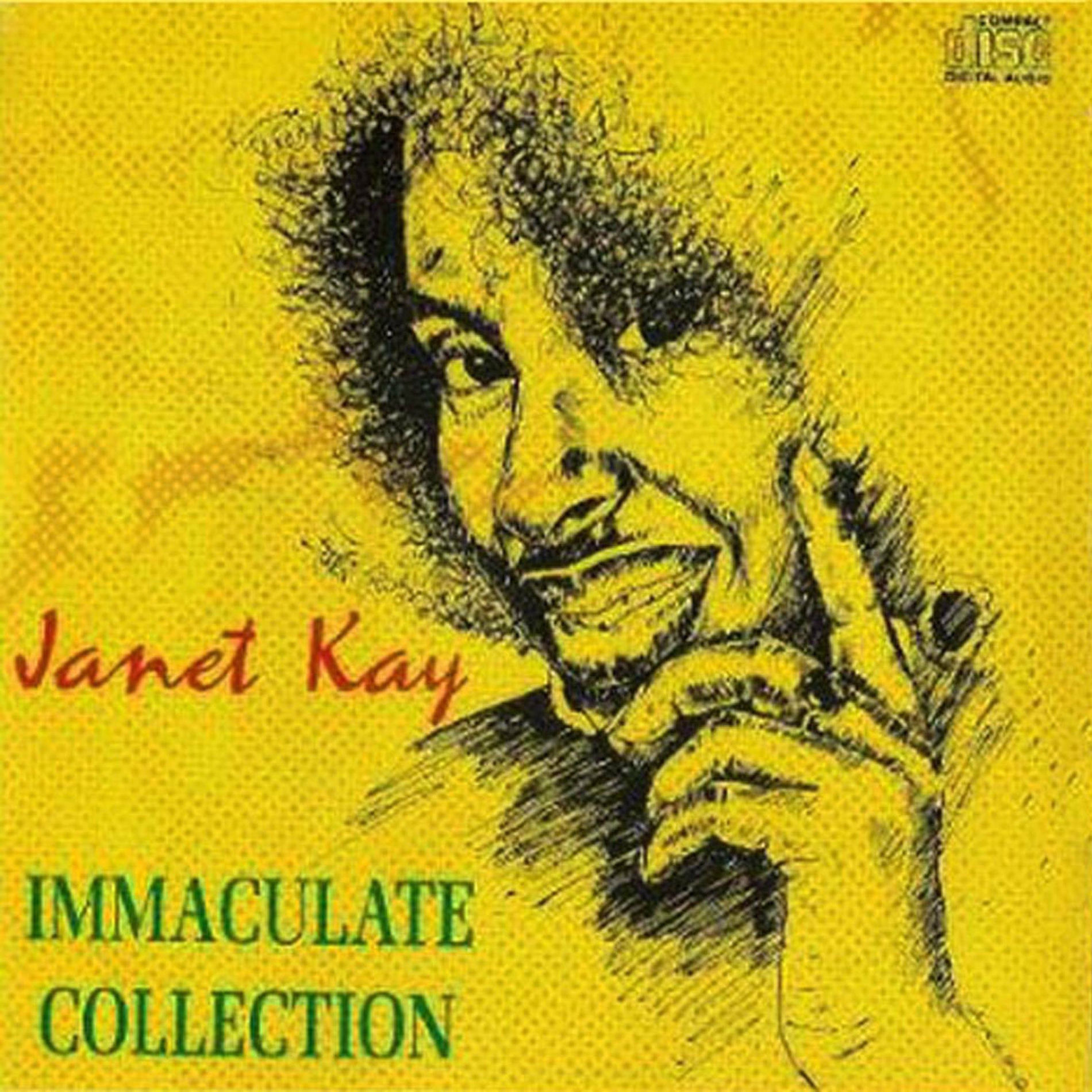 Album cover of Immaculate Collection