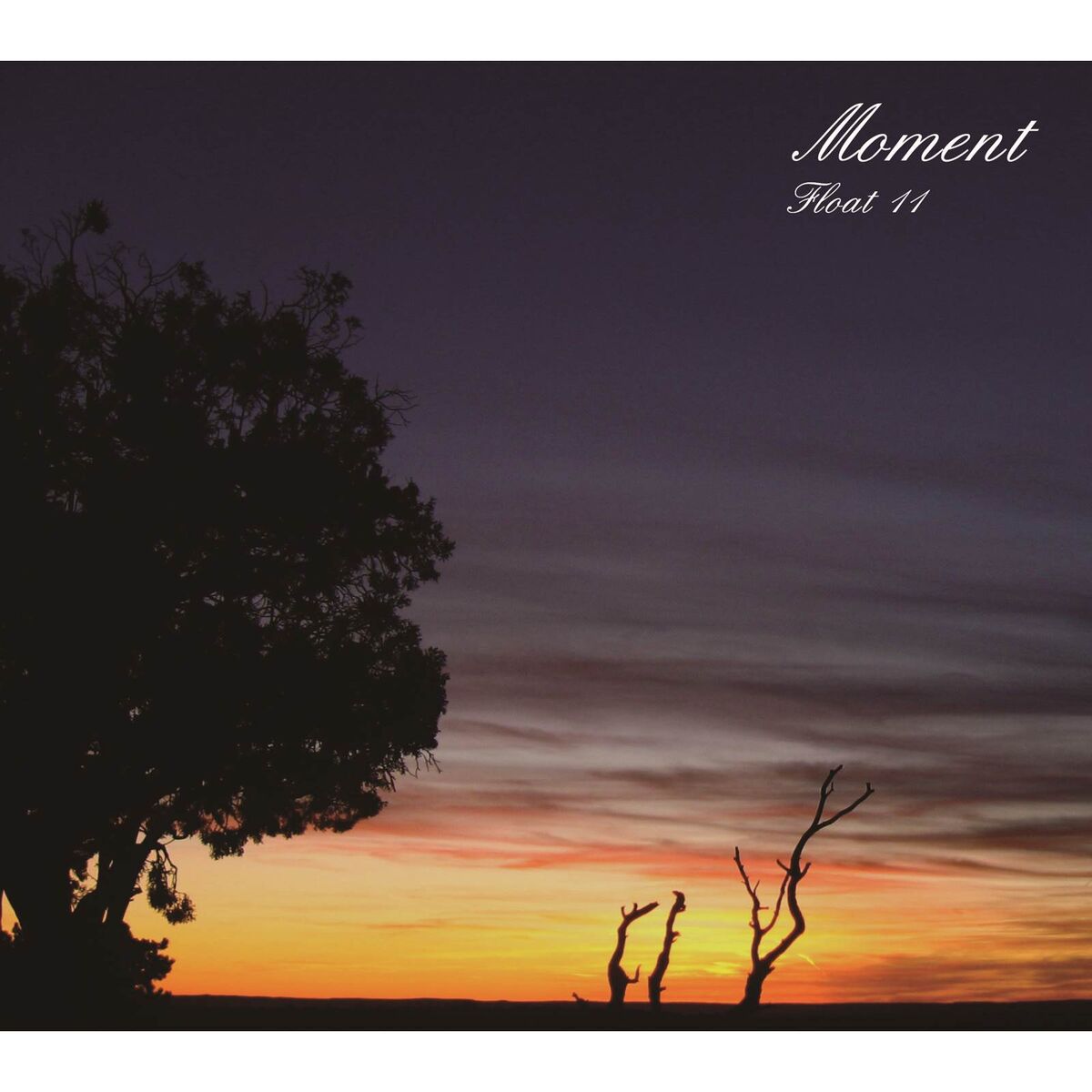 Album cover of Moment