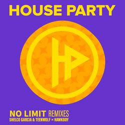 Cover of No Limit