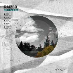 Cover of Numbers EP
