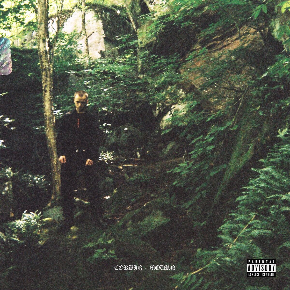 Album cover of Mourn