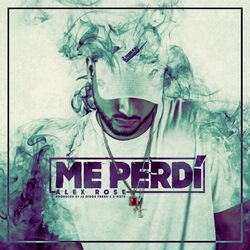 Cover of Me Perdi