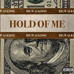 Cover of Hold of Me