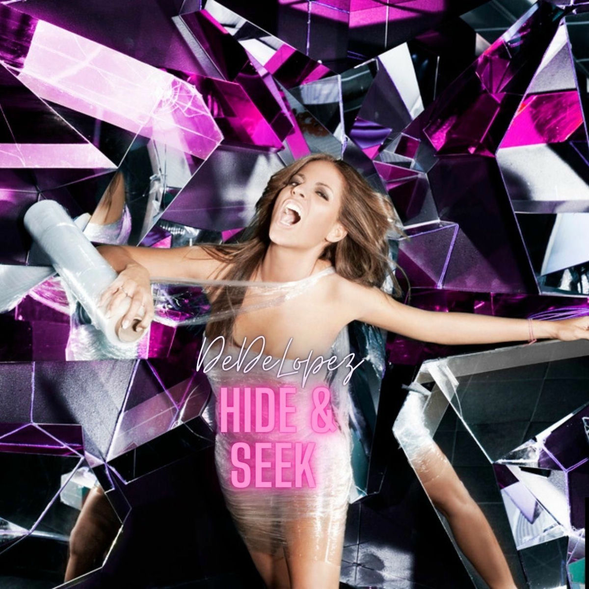 Album cover of Hide & Seek