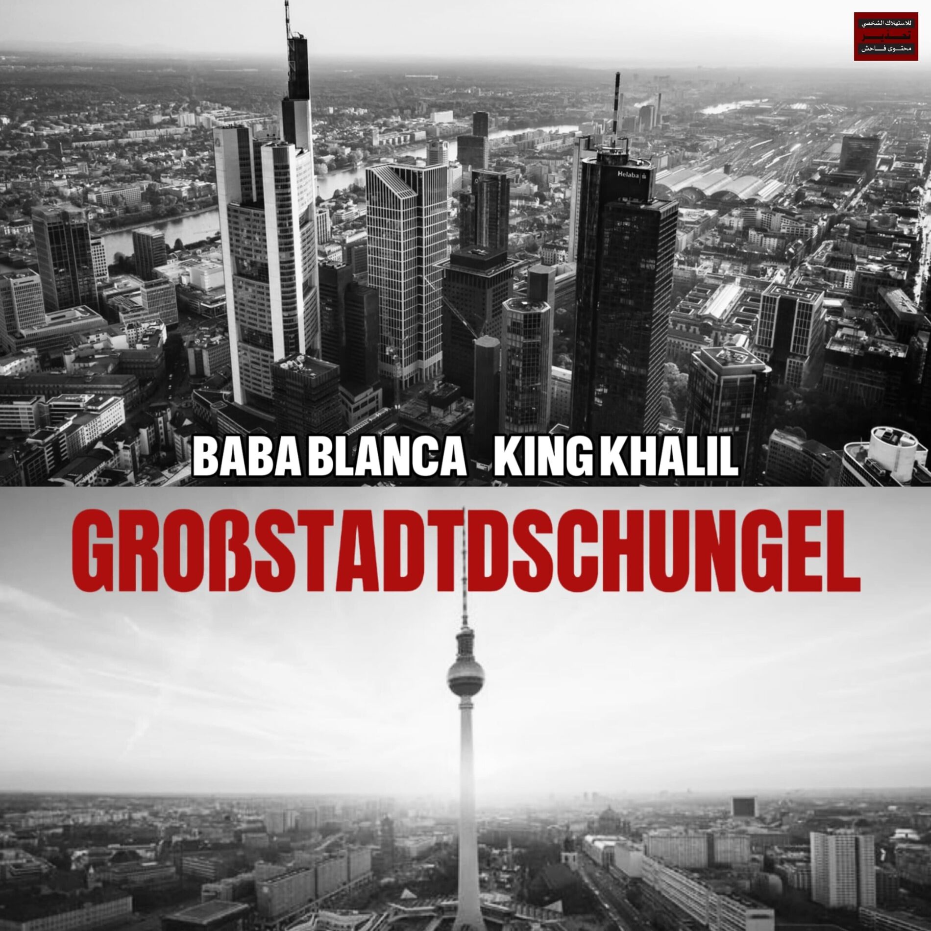 Album cover of Großstadtdschungel