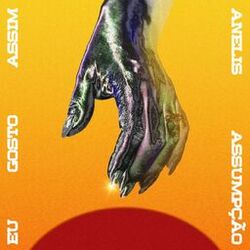 Cover of Eu Gosto Assim (REMIX)