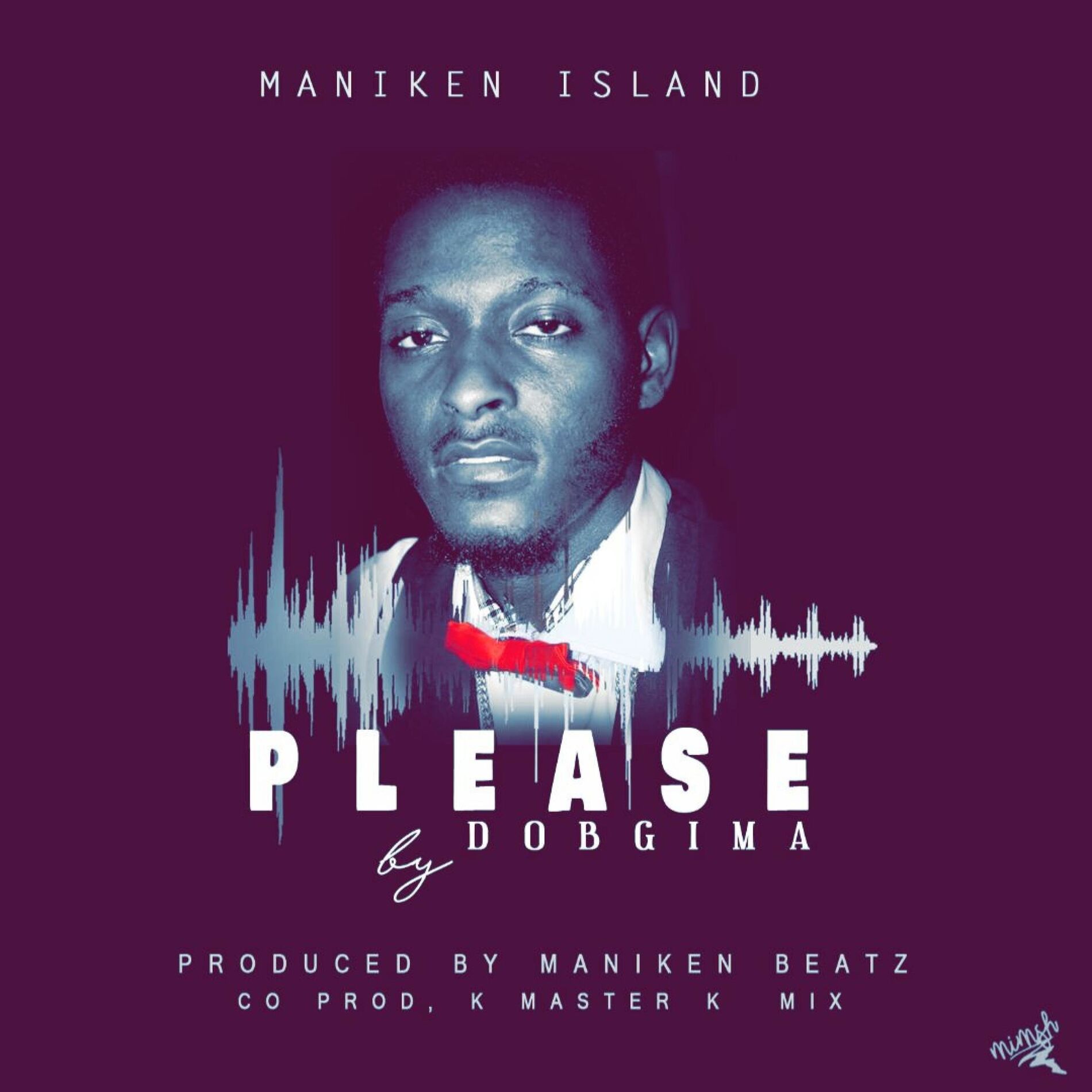 Album cover of Please