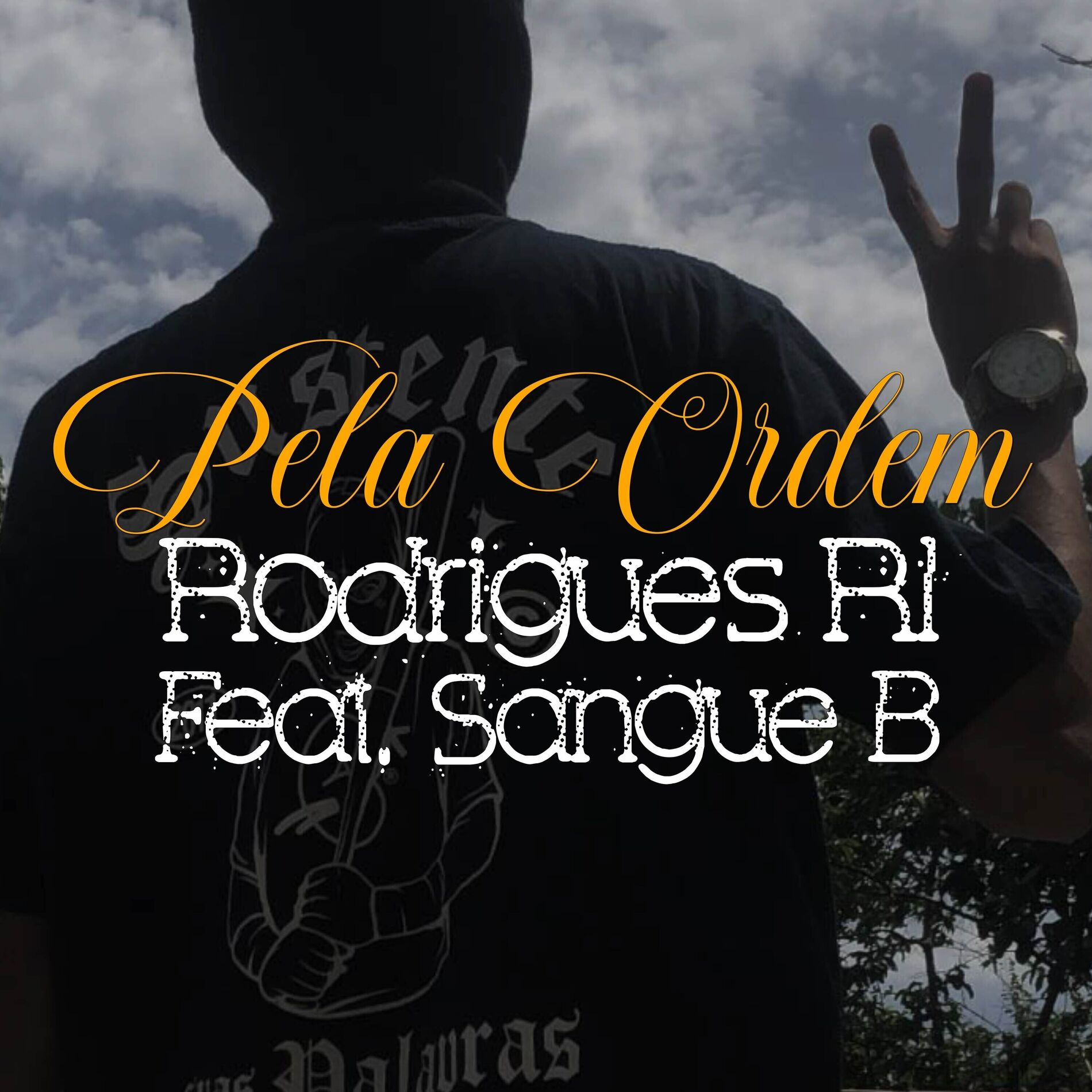 Album cover of Pela Ordem