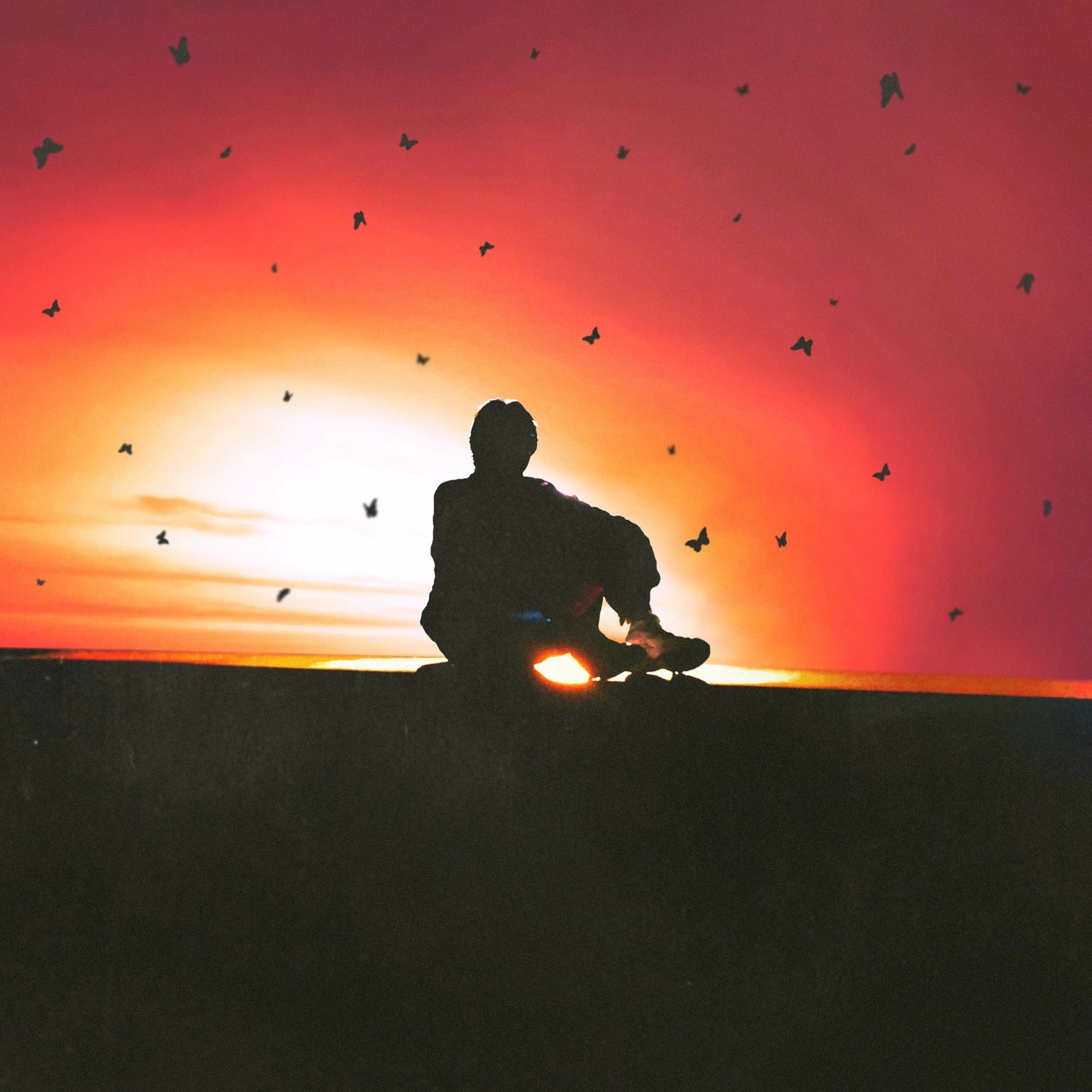 Album cover of far from here