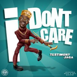 Cover of I Don't Care