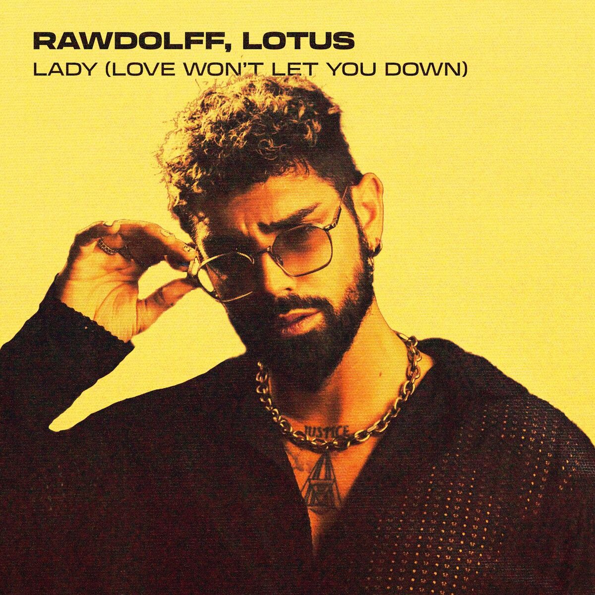 Album cover of Lady (Love Won’t Let You Down)