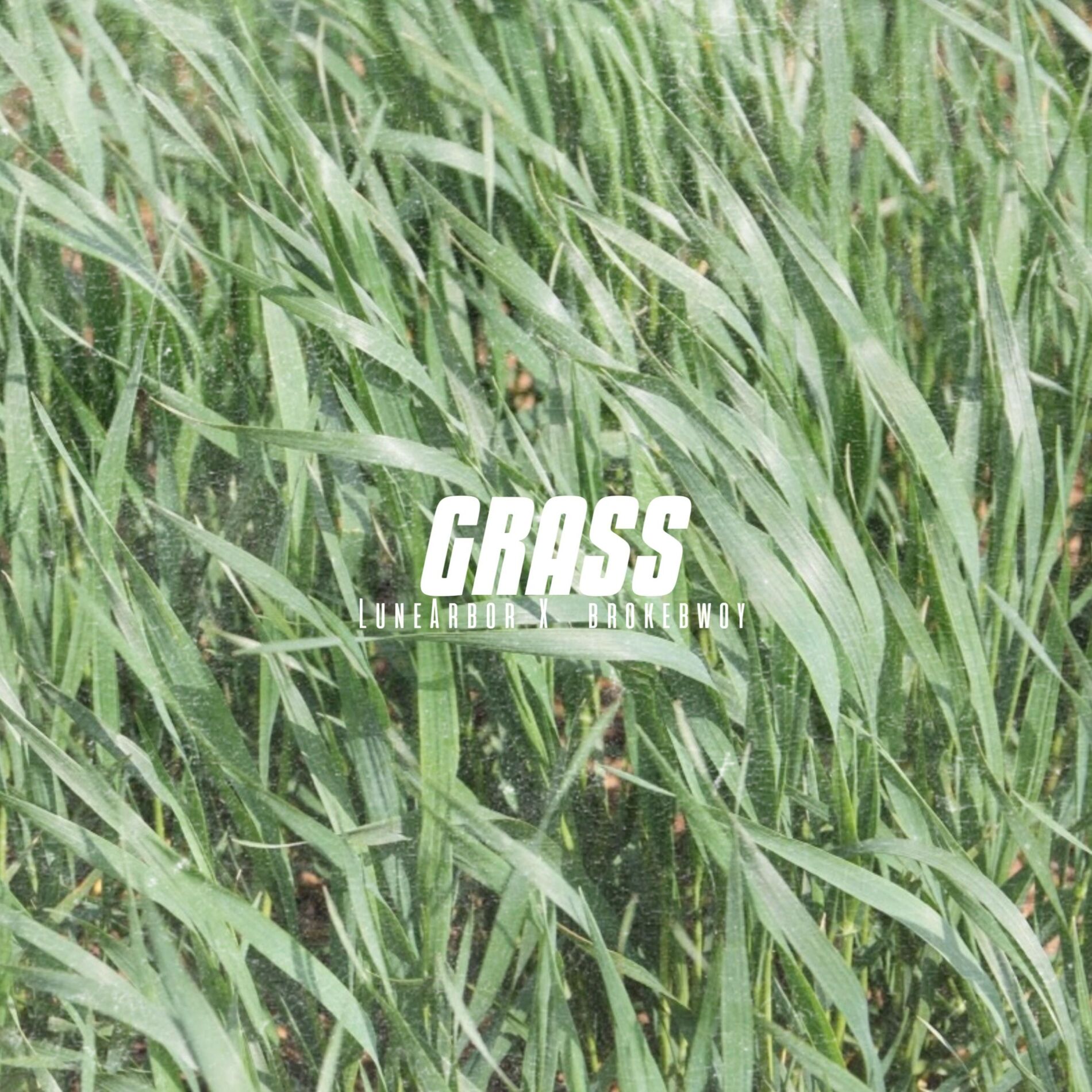 Album cover of Grass (feat. Brokebwoy)