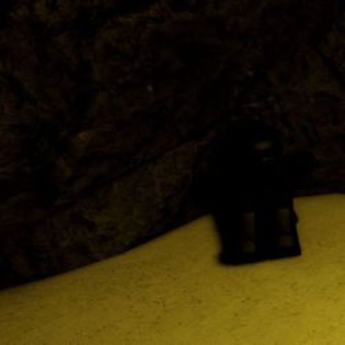 Album cover of Elastic