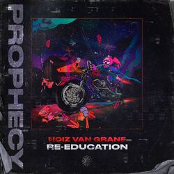 Cover of Re-Education