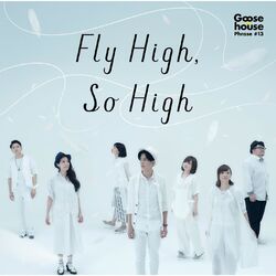 Cover of Fly High, So High