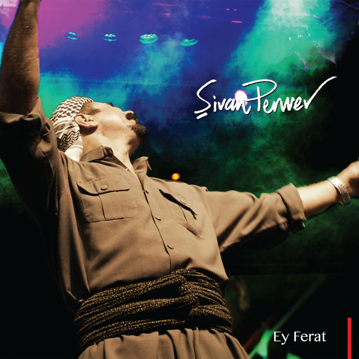 Album cover of Kî Dibêje Nizan İn