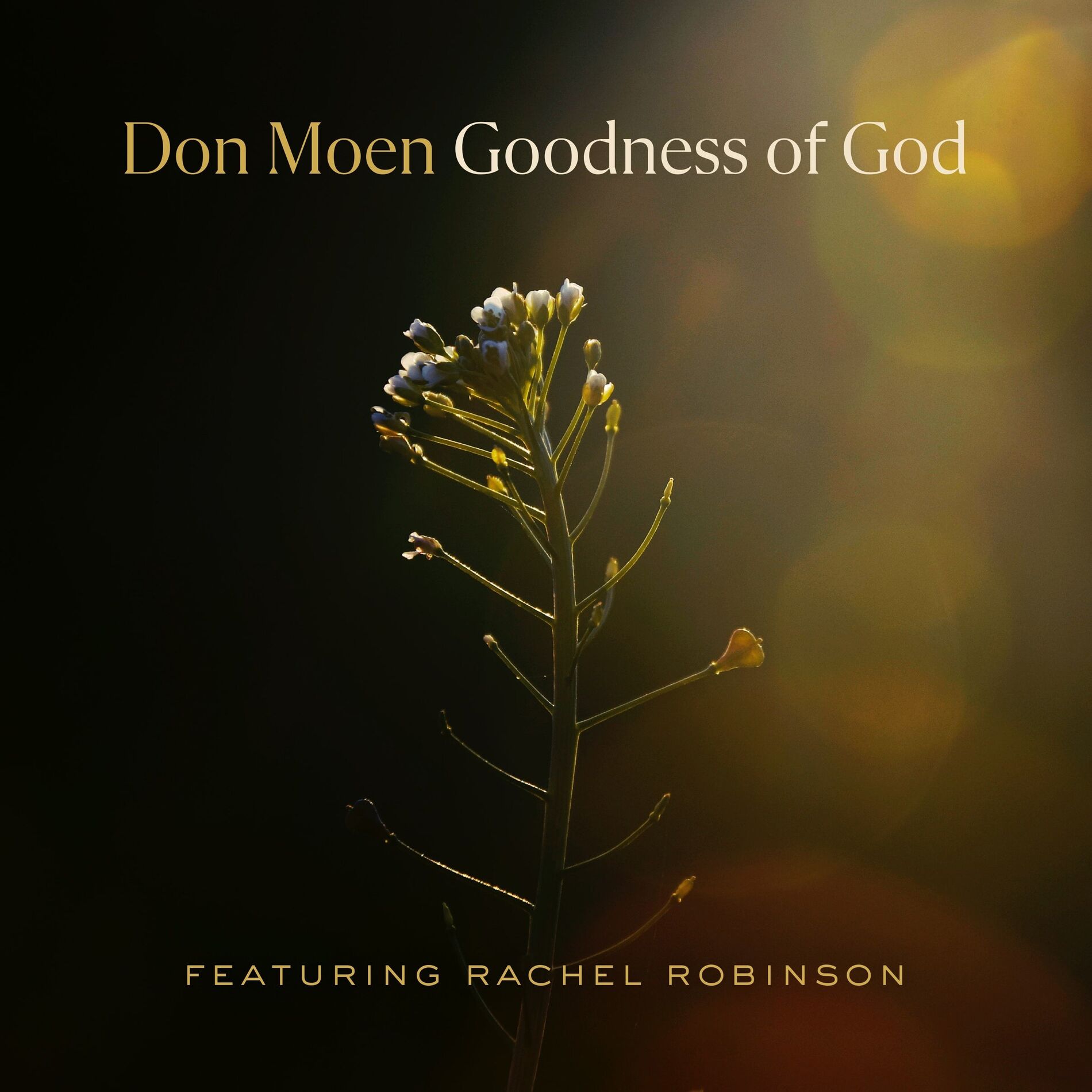 Album cover of Goodness of God (feat. Rachel Robinson)