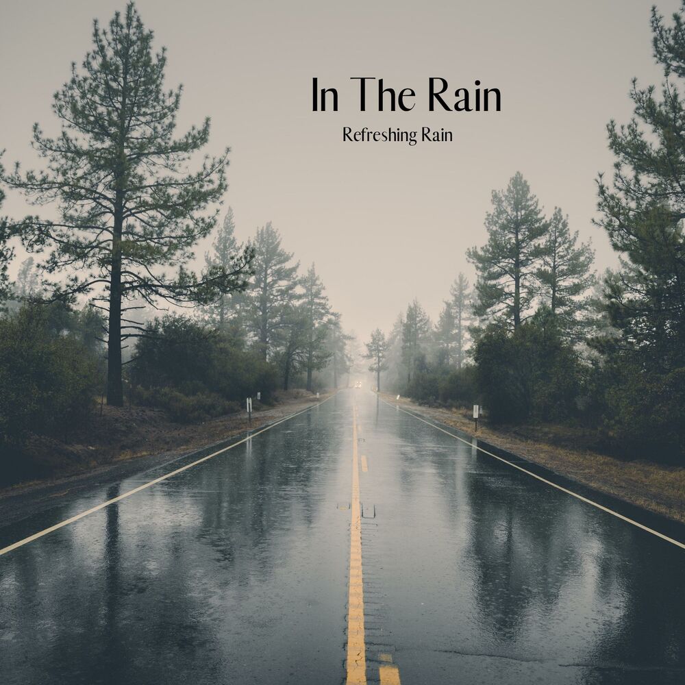 Picture of In The Rain