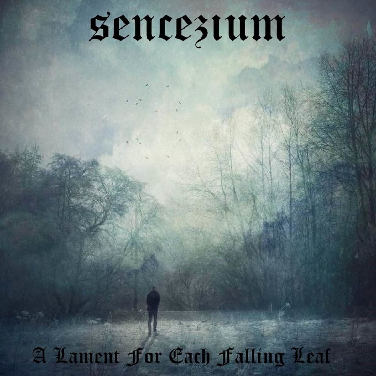 Album cover of A Lament for Each Falling Leaf