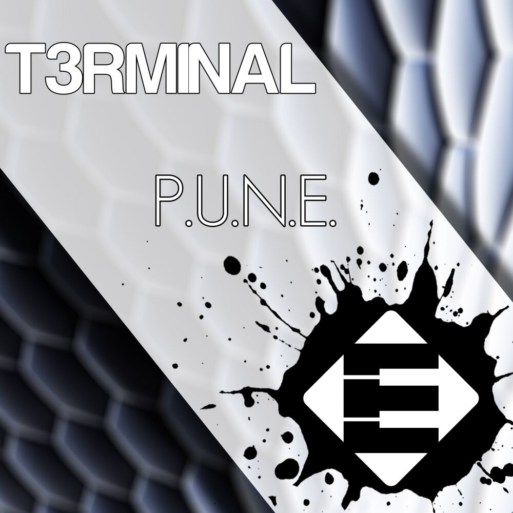 Picture of P.U.N.E.