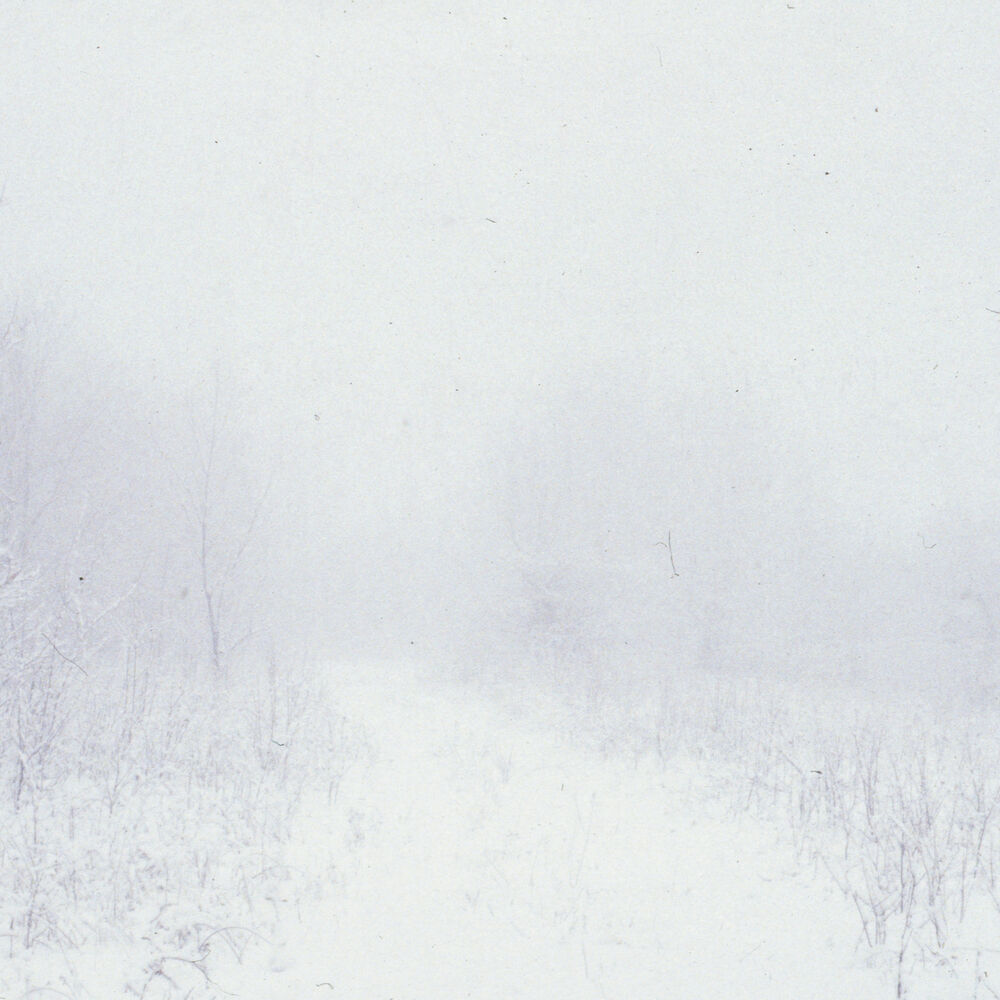 Picture of Fragile