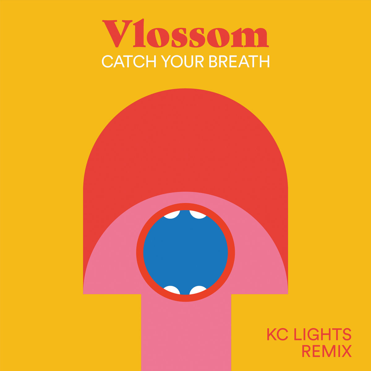 Album cover of Catch Your Breath