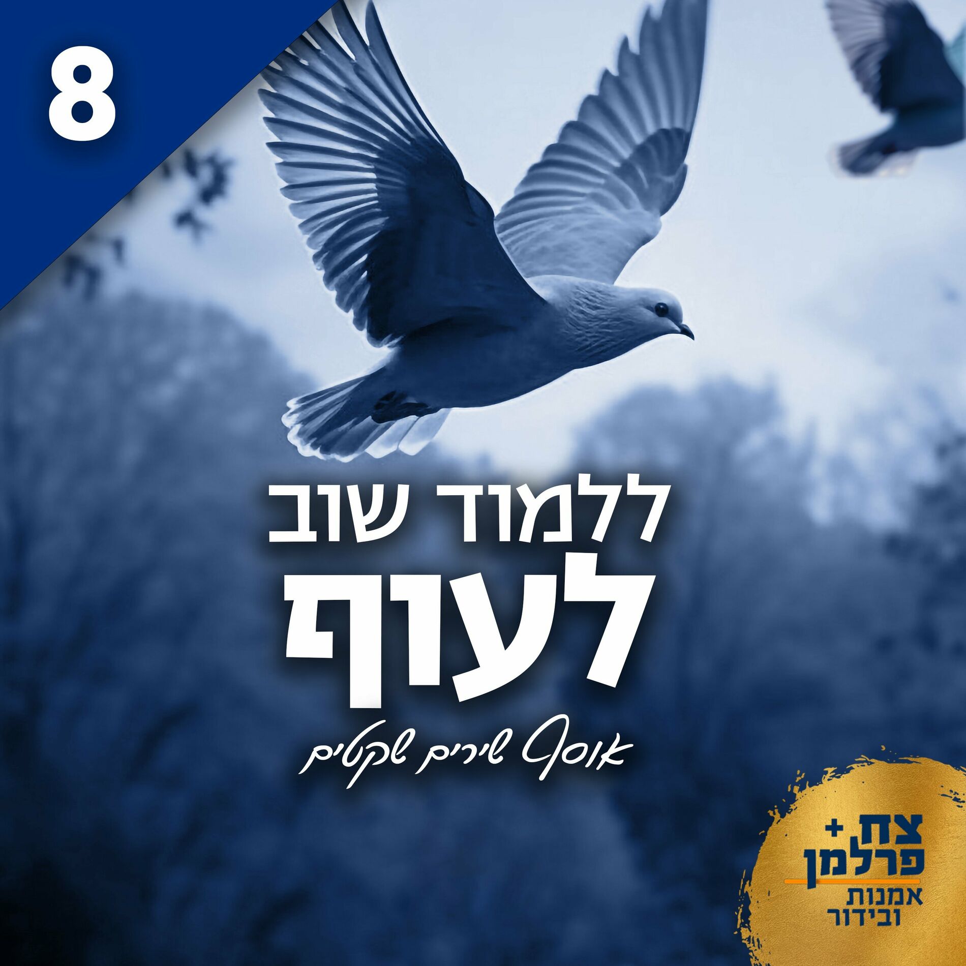 Album cover of ללמוד שוב לעוף 8 (אוסף שירים שקטים)