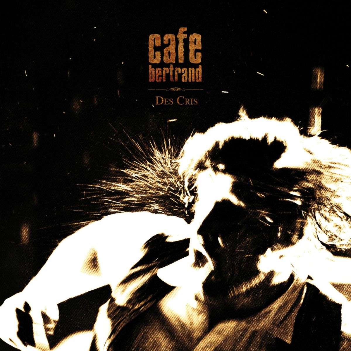 Album cover of Des cris