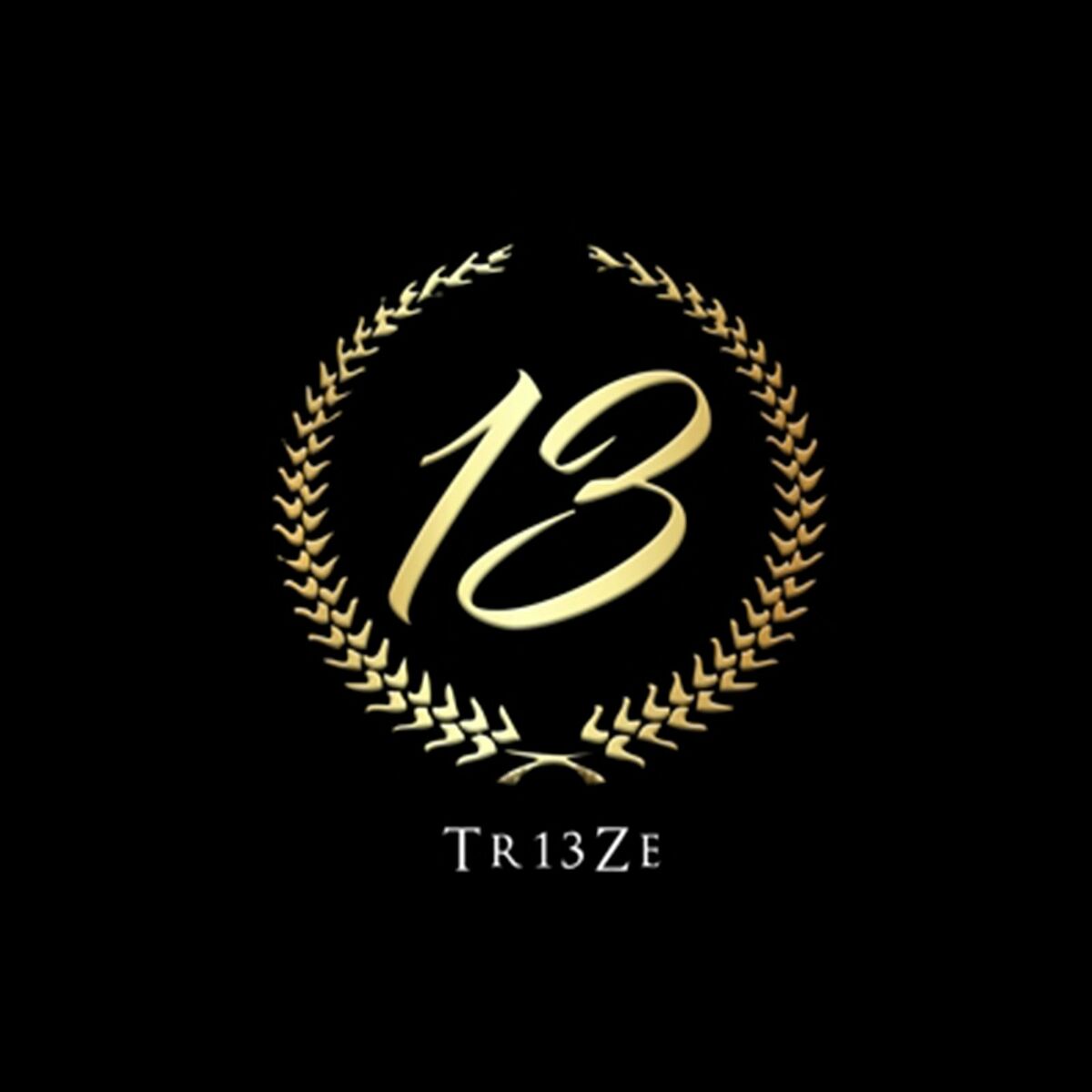 Album cover of Treize