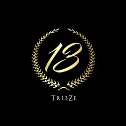 Cover of Treize