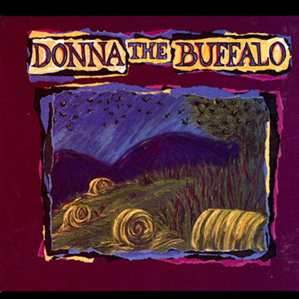 Picture of Donna The Buffalo