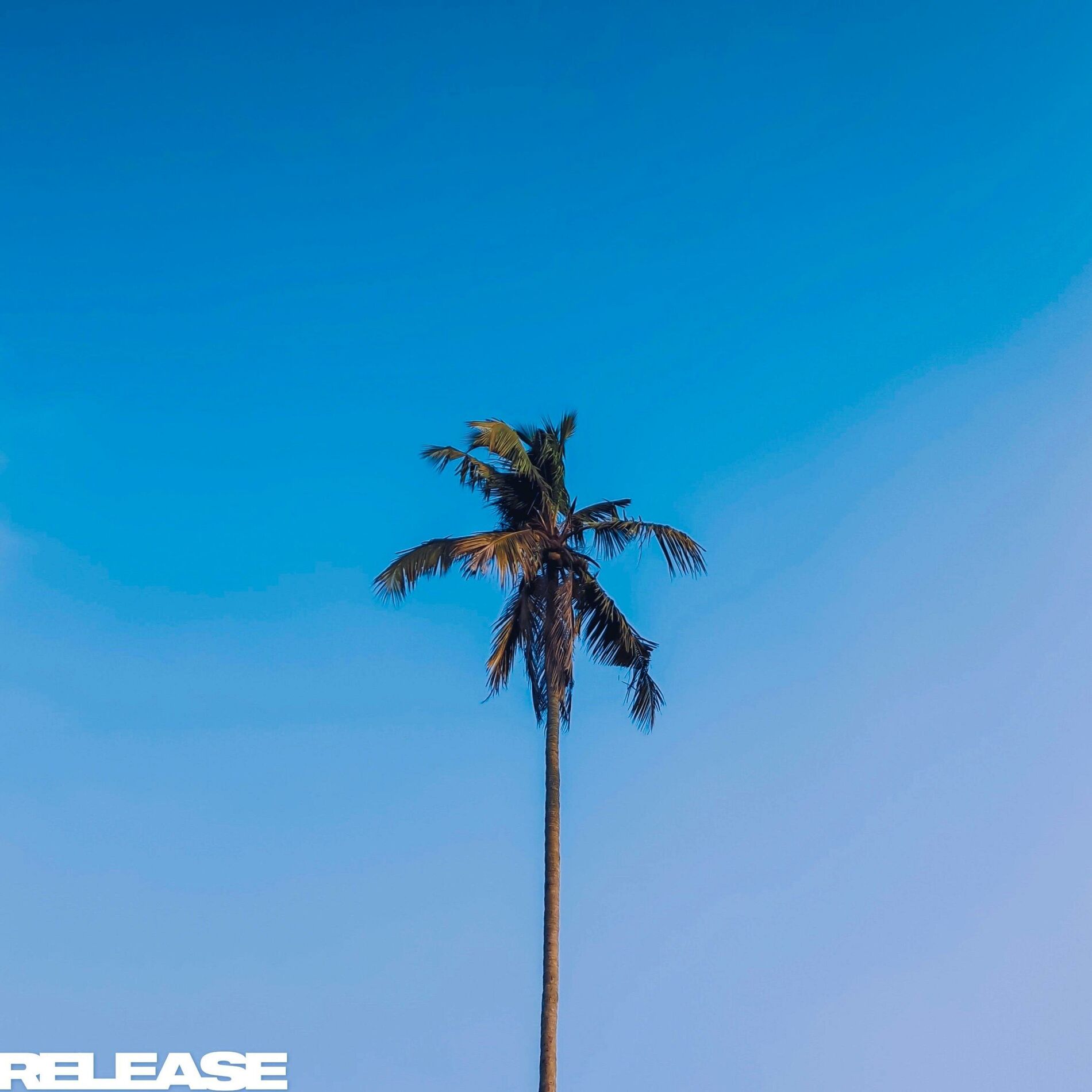 Album cover of HITS HOME