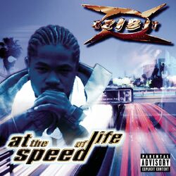 Cover of At The Speed Of Life