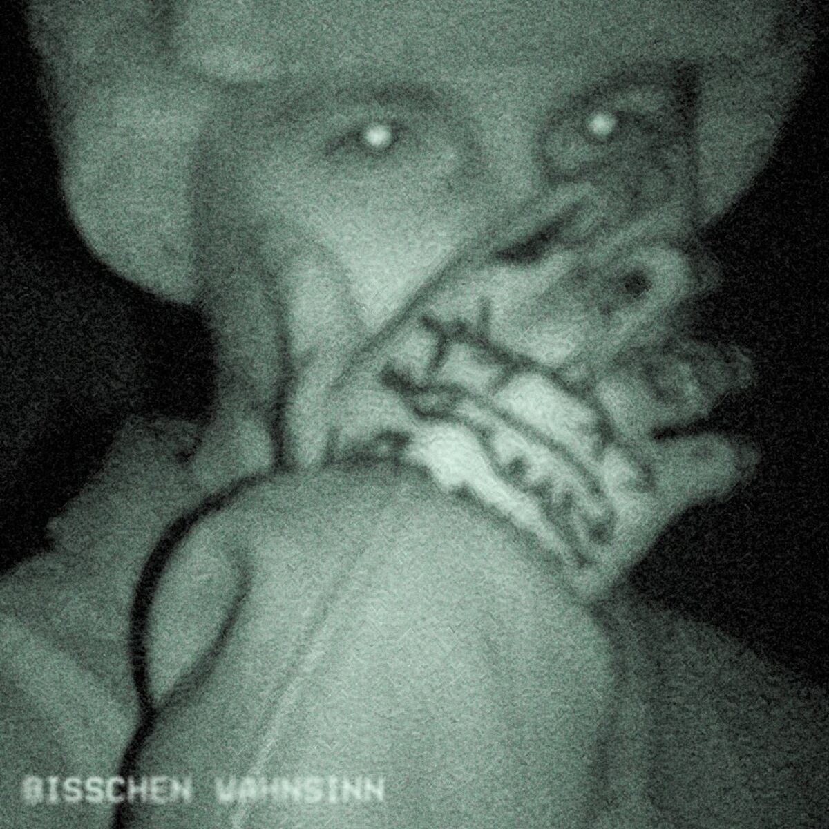 Album cover of Bisschen Wahnsinn