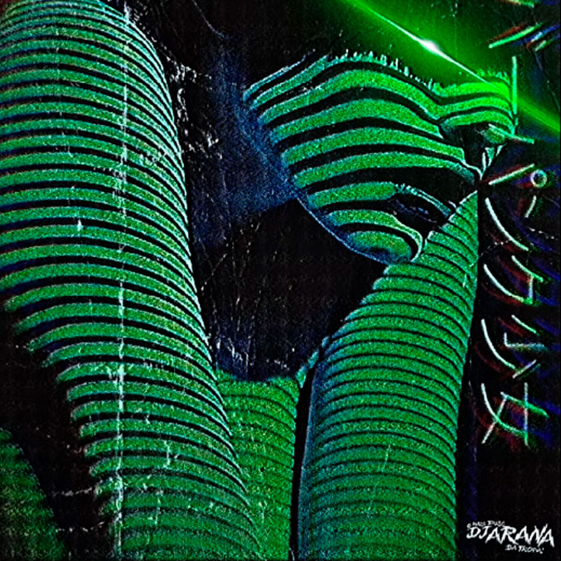 Album cover of Festa do Pente e Rala