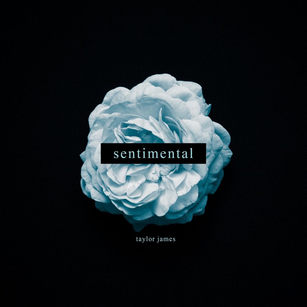 Picture of Sentimental