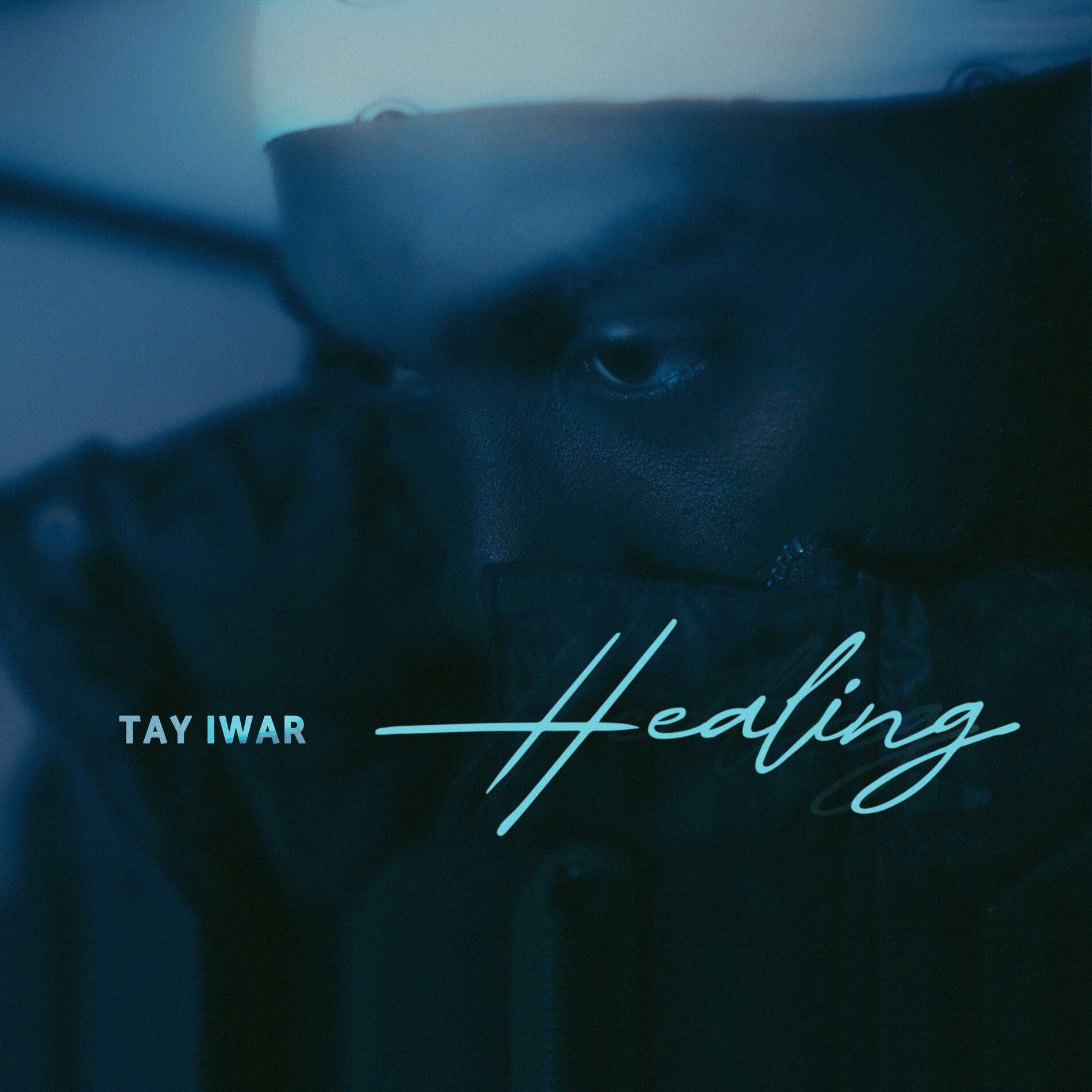 Album cover of Healing