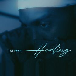 Cover of Healing