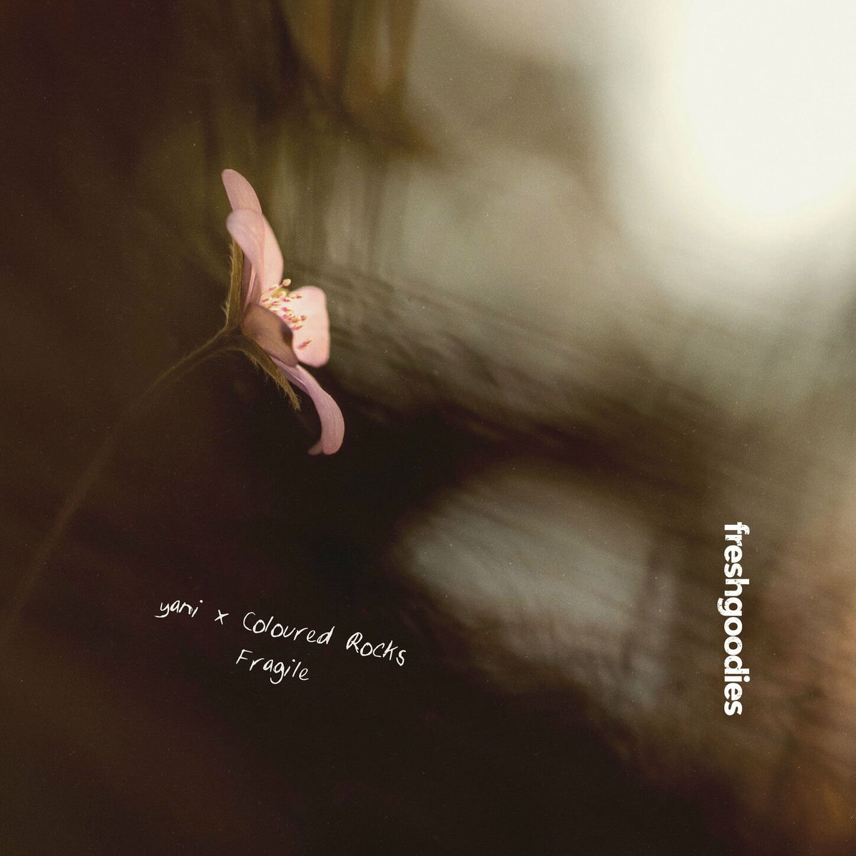 Album cover of Fragile