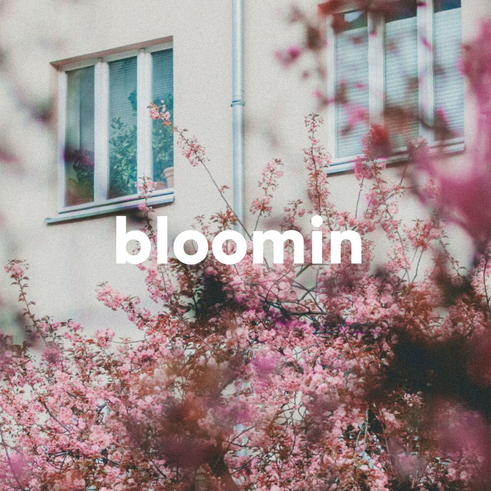 Picture of Bloomin'